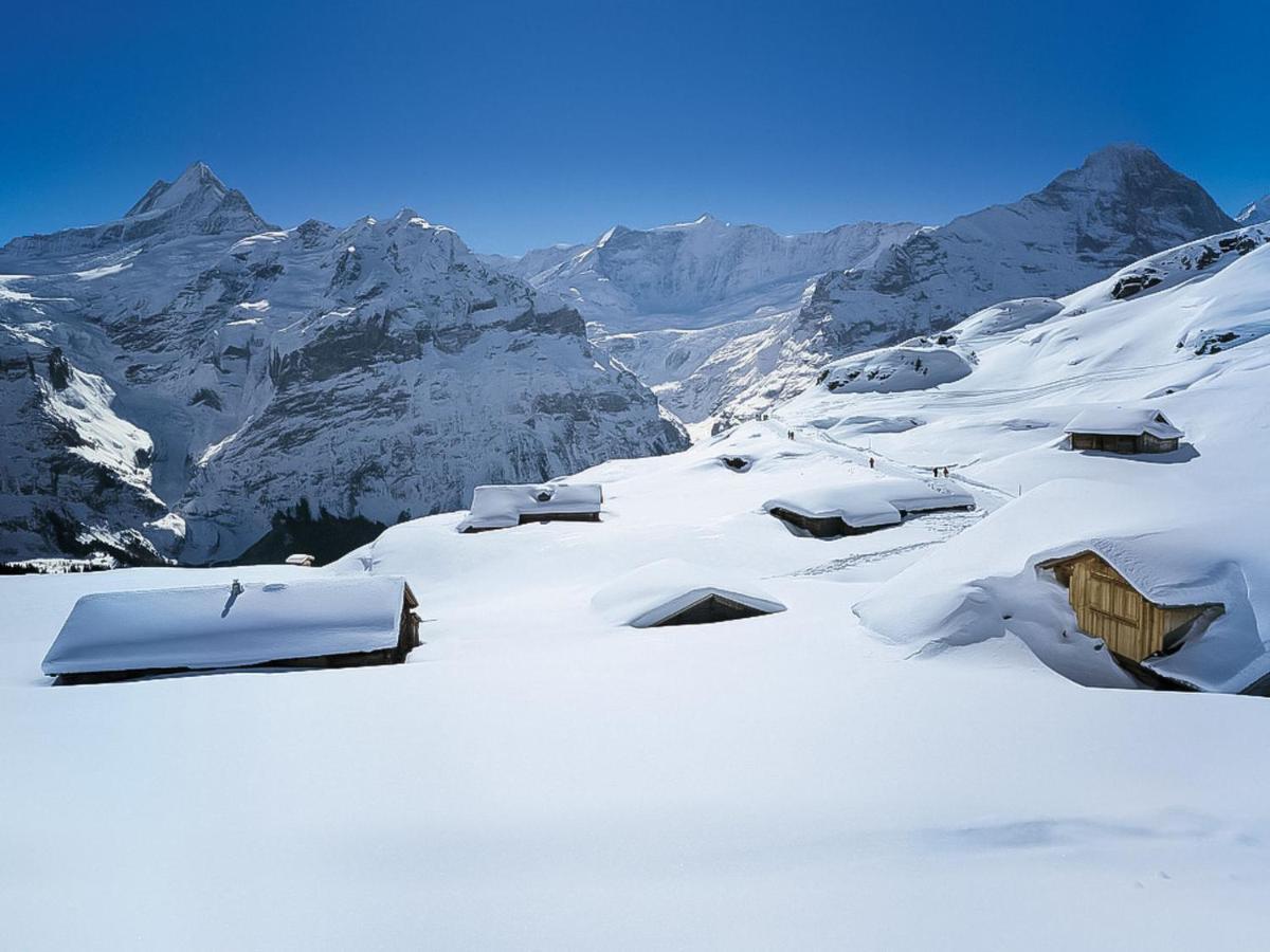 Apartment Chalet Casa Almis 5 By Interhome Grindelwald Luaran gambar