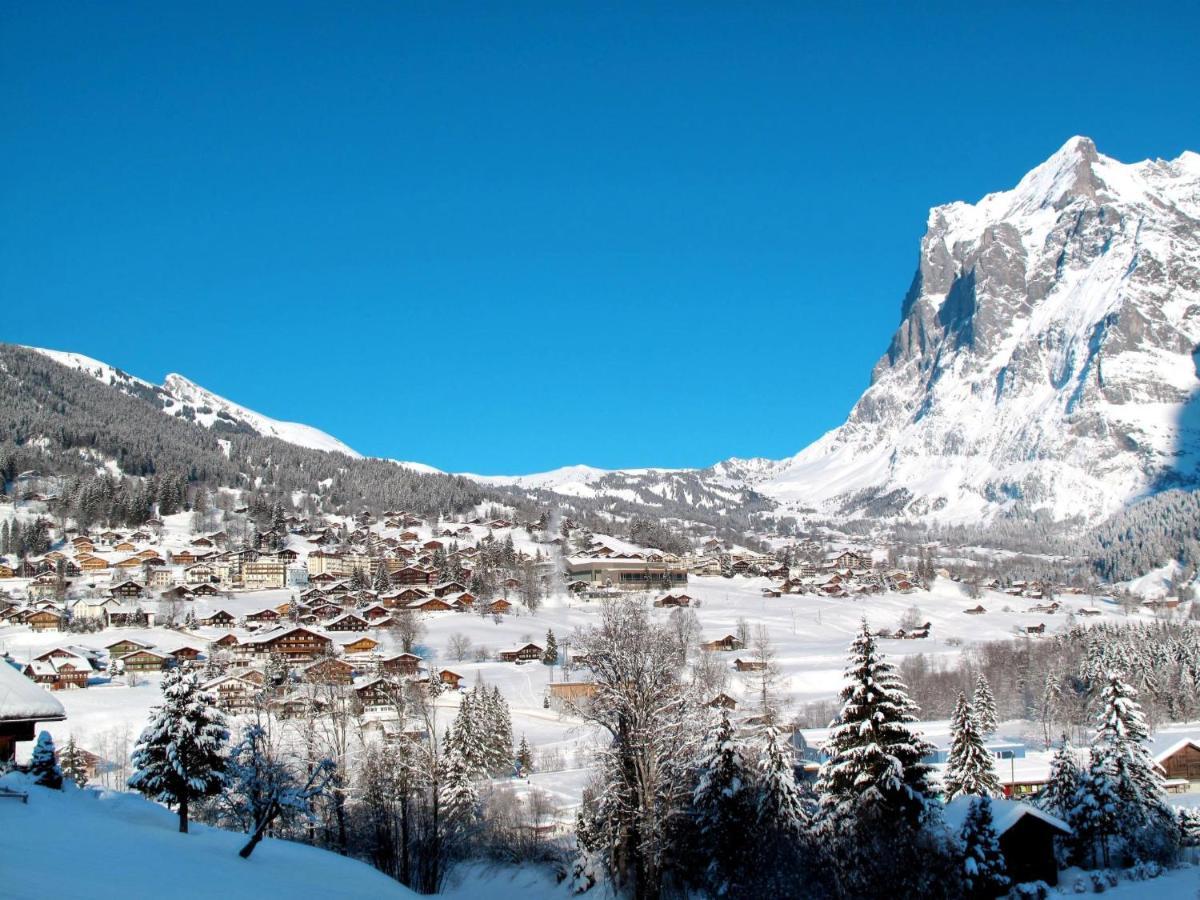 Apartment Chalet Casa Almis 5 By Interhome Grindelwald Luaran gambar