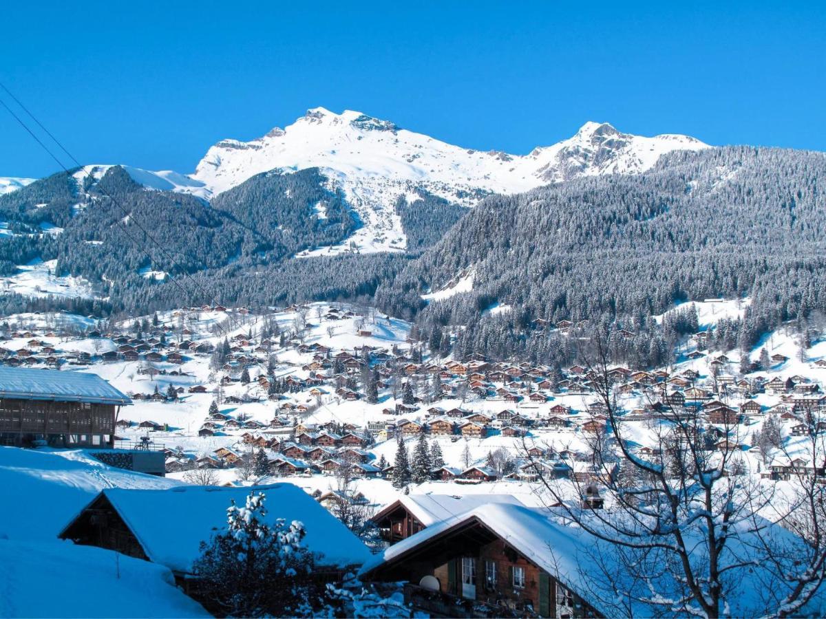 Apartment Chalet Casa Almis 5 By Interhome Grindelwald Luaran gambar